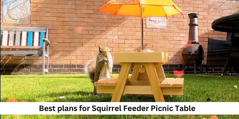 Best plans for Squirrel Feeder Picnic Table