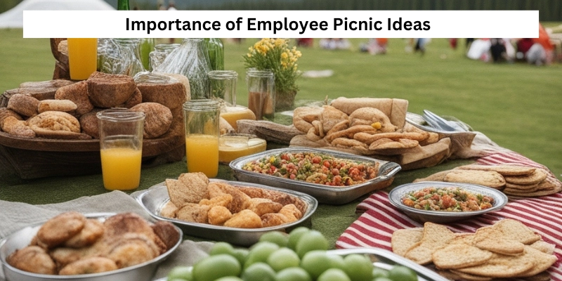 Importance of Employee Picnic Ideas