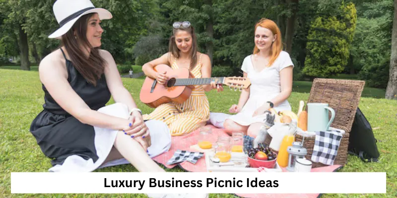 Luxury Business Picnic Ideas