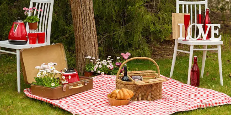 Top Picnic-Themed Party Ideas